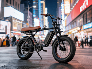 TDE-05B Retro Scrambler Fat Tire E-Bike