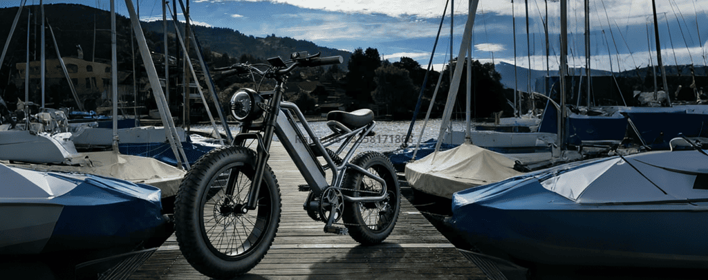 微信图片_202603105916_1393_113_副本