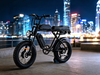 TDE-05D All-Terrain Dual Motor Electric Bike