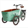 Electric Cargo Tricycle 