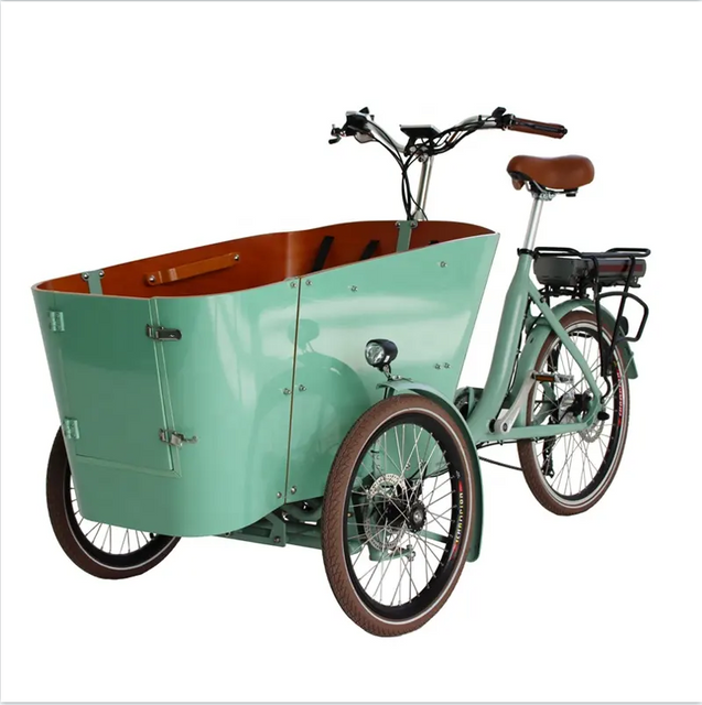 Electric Cargo Tricycle 