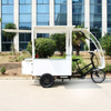 TY-06 Electric Tricycle Mobile Vending Caro 