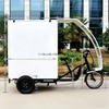 TY-06 Electric Tricycle Mobile Vending Caro 