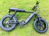 TDE-05 Grizzly 20 Fat Tire Electric Bike