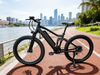 TDE-04 PowerGlide Fat Electric Bike
