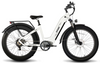Eagle Long Range Electric Bicycle