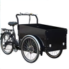 TD-S4B2 Electric Cargo Bike | 36V 250W/350W Brushless Motor, 13.4AH Li-ion Battery - For Urban Delivery & Daily Use