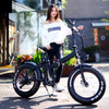 TDN-02 TrailBlazer Folding Fat Tire E-Bike