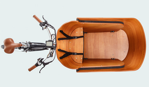 Danish-style Electric Cargo Tricycle 