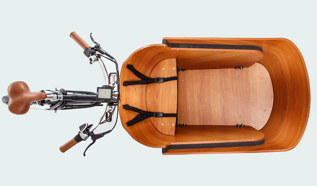 Danish-style Electric Cargo Tricycle 