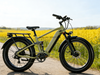 TDE-15 WildTread Explorer Fat Tire Electric Bike