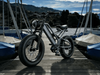 TDE-07 TerraBlaster RS | Fat Tire Electric Bike