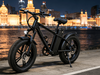 TDE-06 TrakFat 750 All-Terrain E-Bike