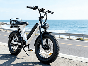 TDE-08 UrbanFat Glide Fat Tire Electric Commuter Bike