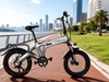 TDE-10 MagneFold 20 Fat Adventure E-Bike