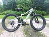 26' Fat Tire Long Range Electric Bike