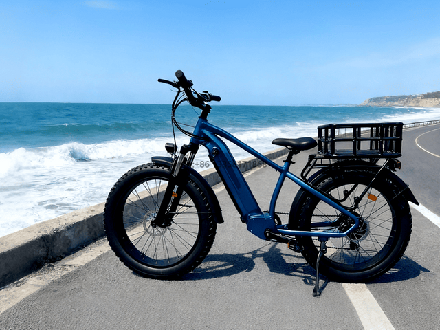 TDE-14 HorizonRide X – 26