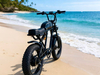 TDE-05C Classic Voyager Fat Tire E-Bike