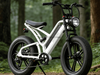 TDE-07 TerraBlaster RS | Fat Tire Electric Bike