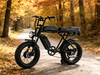 TDE-05D All-Terrain Dual Motor Electric Bike