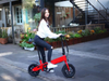 TDN-09 12inch OneFold E-Bike/36V10AH 250W Electric Bike
