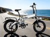 TDE-10 MagneFold 20 Fat Adventure E-Bike