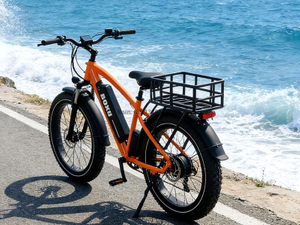 TDE-13 Pathfinder Fat Tire E-Bike