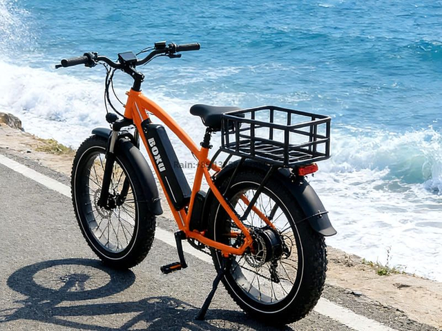 TDE-13 Pathfinder Fat Tire E-Bike