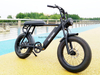 TDE-05 Grizzly 20 Fat Tire Electric Bike