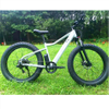 26' Fat Tire Long Range Electric Bike
