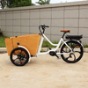 New 3 Wheel Cargo Electric Bike | 48V 500W Brushless Hub Motor, Swing Balance Device