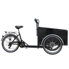 TD-S4B2 Electric Cargo Bike | 36V 250W/350W Brushless Motor, 13.4AH Li-ion Battery - For Urban Delivery & Daily Use