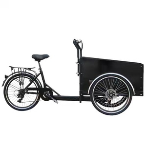TD-S4B2 Electric Cargo Bike | 36V 250W/350W Brushless Motor, 13.4AH Li-ion Battery - For Urban Delivery & Daily Use
