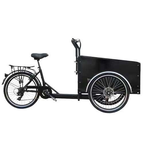 TD-S4B2 Electric Cargo Bike | 36V 250W/350W Brushless Motor, 13.4AH Li-ion Battery - For Urban Delivery & Daily Use
