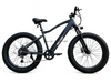 TDE-01 ThunderFat 500 | Electric Fat Tire Bike