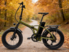 TDN-02 TrailBlazer Folding Fat Tire E-Bike