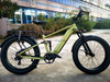TDE-15 WildTread Explorer Fat Tire Electric Bike