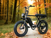 TDE-05B Retro Scrambler Fat Tire E-Bike