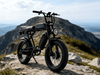 TDE-05D All-Terrain Dual Motor Electric Bike
