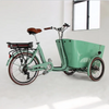 Electric Cargo Tricycle 