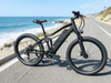 TDE-04 PowerGlide Fat Electric Bike