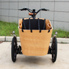 New 3 Wheel Cargo Electric Bike | 48V 500W Brushless Hub Motor, Swing Balance Device