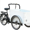 TD-S4B2 Electric Cargo Bike | 36V 250W/350W Brushless Motor, 13.4AH Li-ion Battery - For Urban Delivery & Daily Use