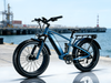 TDE-15 WildTread Explorer Fat Tire Electric Bike