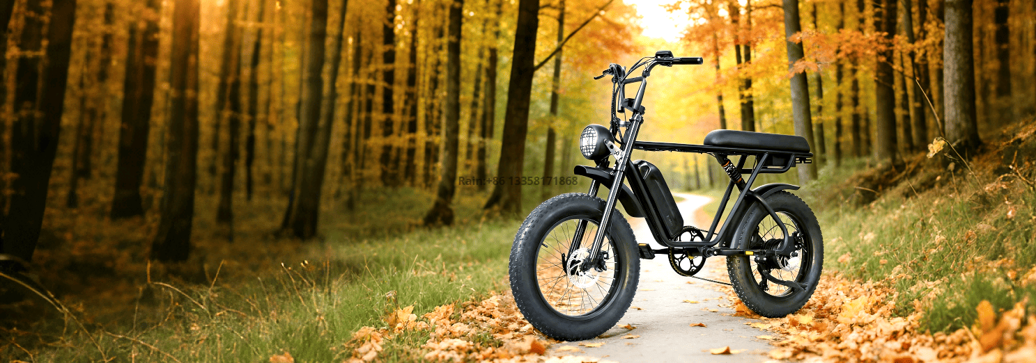 微信图片_20260317180354_1335_113_副本