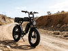 TDE-05D All-Terrain Dual Motor Electric Bike