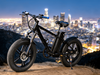 TDE-06 TrakFat 750 All-Terrain E-Bike