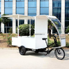 TY-06 Electric Tricycle Mobile Vending Caro 