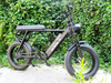 TDE-05 Grizzly 20 Fat Tire Electric Bike