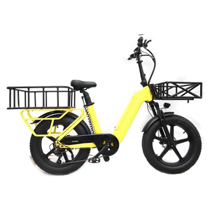 TDB-01 Fat Tire Electric Cargo Bike – Your Ultimate Urban Utility Companion